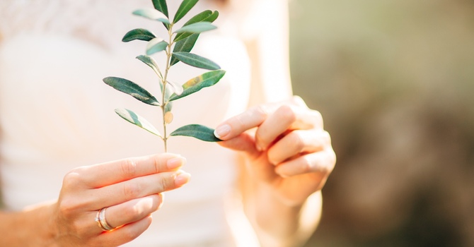 5 Ways Online Counselling Can Support Your Anxiety